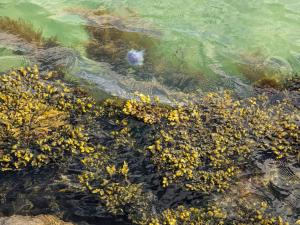 6 person holiday home in Frederikshavn-By Traum