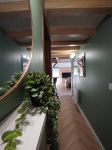 Le Perchoir de Linas, filet suspendu, appartement cosy