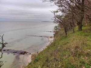 Quiet Cottage Near Nature, Water And Views