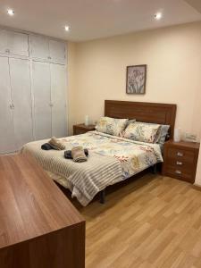 MAGIC II a 30 segundos de la Plaza Mayor y 1 minuto de la Catedral