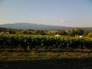 Le Cabanon dAmandine et Gabriel