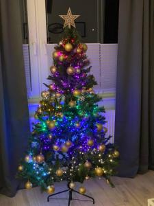 Harzperle 1 II zentrales 3 Zi Apartment II Familien