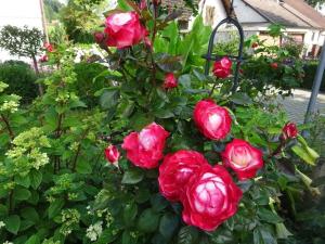 Holiday apartment with 2 bedrooms