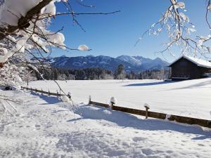 Cabin in Ofterschwang with swimming pool