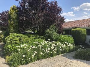 Dune House North Sea Wind