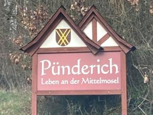 Pünderich Castle View