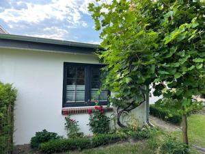 Holiday home in Büsum with swimming pool