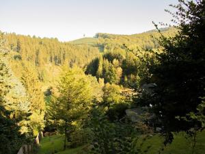 Tannenhäuschen Sauerland