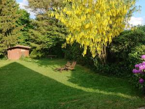 Holiday home with 1 bedroom