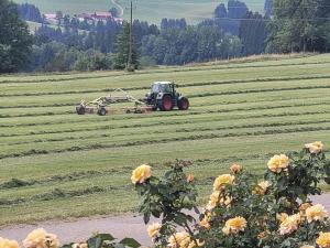 Holiday home in Weitnau with swimming pool