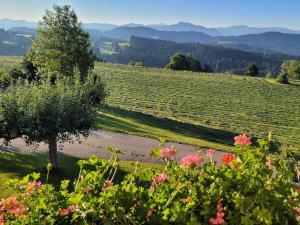 Holiday home in Weitnau with swimming pool