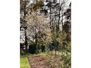 Little Heidjer House