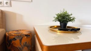 Casa Blanca Cozy Stylish Penthouse Ocean&City&Sunrise Views By-Tenerife365