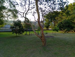 Sítio Kaizen Mogi das Cruzes, ate 30 pessoas