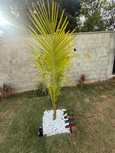 Jardim de Esmeraldas