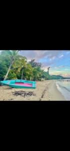 Tropical Jungle House