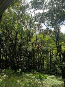 Cabinas los Jilgueros