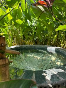 Peaceful refuge homestay