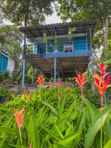 Ocean Lounge Bungalow