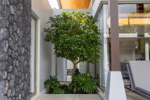 Botanica Foresta x MonthStayZ Thailand