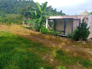 La Ngâu Mơ Bên Suối