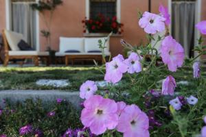 Tenuta Valtoppa img6