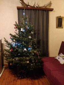 Arduena - Het Ardennetje