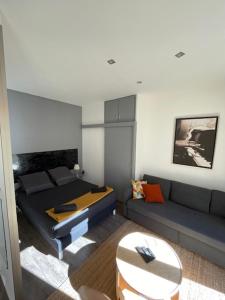 Grand studio lumineux, Nice !