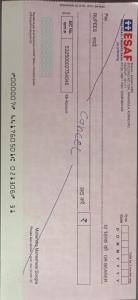 moonlight tiger stay