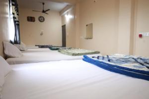 moonlight tiger stay