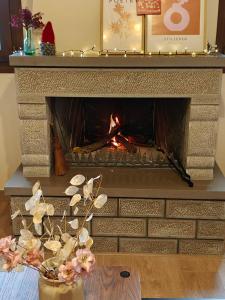 Metsovo Fireplace Retreat I