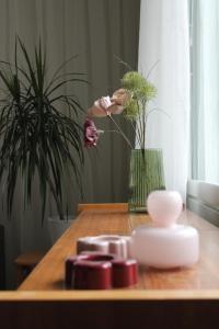 Villa Rimppari 3mh 8hlö