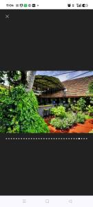 Vrindavan Homestay