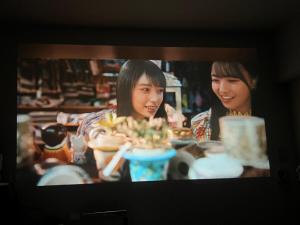 THE東京和風貸切旅館 近スカイツリー浅草上野銀座ディズニー 空港直通駅0分 86インチ映画TV室 高速光Wifi 長期割引 八広201