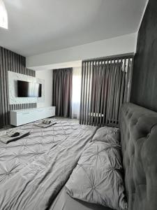 Grayapartaments 34