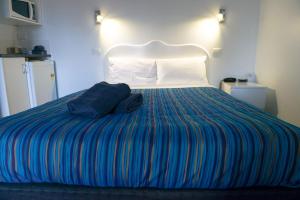 Bandicoot Motor Inn Hamilton