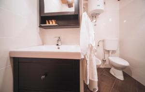 Stunning Apartment In Oprtalj With Wifi