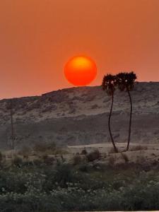 Nile SE Felucca nile cruise private tour