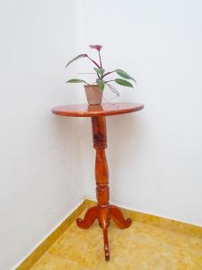 Vintage Grove Weligama