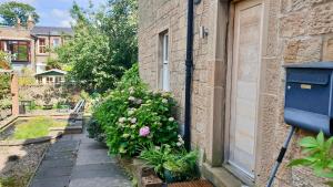 Garden Annexe in Victorian Villa
