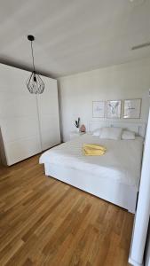 Bright apartment in Basel w washing machine and dryer and home office