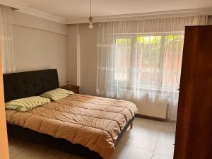 Green garden in Besiktas