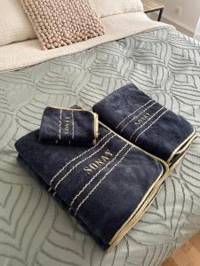 Magnifique appartement de 91m2 au centre de Colmar