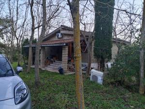 Mami house Montegelato