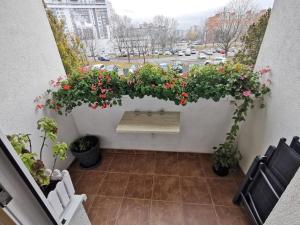 Wolkrova city stay