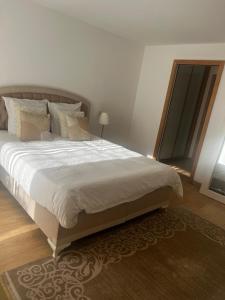 Maison au cœur de la Sologne