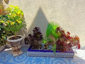 El Caprichito a 200 metros de la playa!