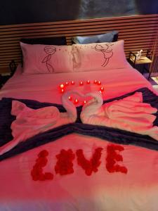 Love Room romantique avec jacuzzi - Arles centre