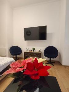 Stylish apartment, top center with private Sauna