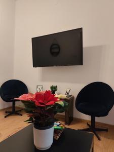 Stylish apartment, top center with private Sauna